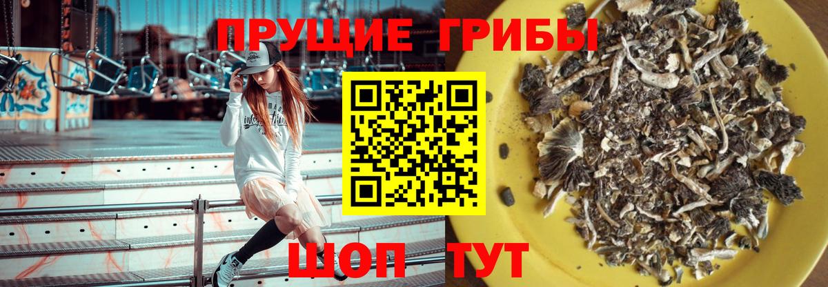 Фурманов  Псилоцибиновые грибы прущие грибы  Вход с VPN 