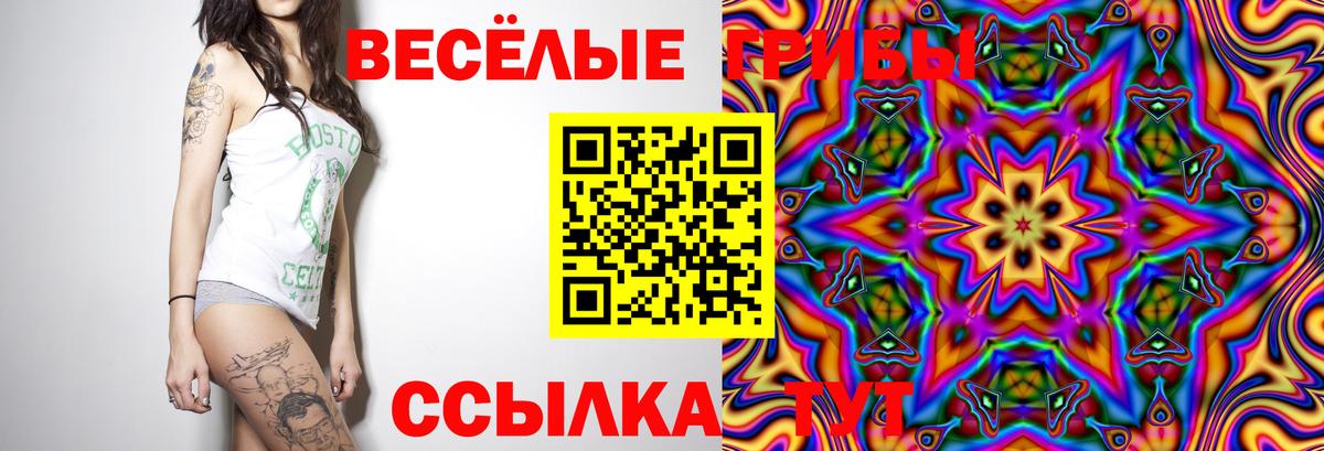 Псилоцибиновые грибы Cubensis Фурманов